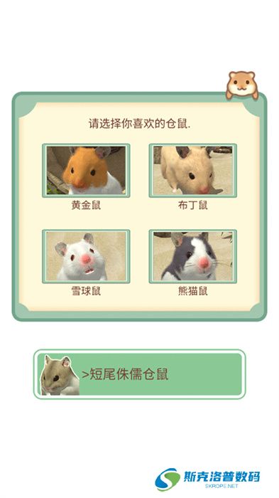 我的仓鼠春节版