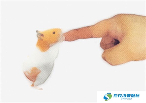 我的仓鼠春节版