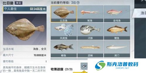 和平精英垂钓等级怎么提升?和平精英垂钓等级的提升攻略