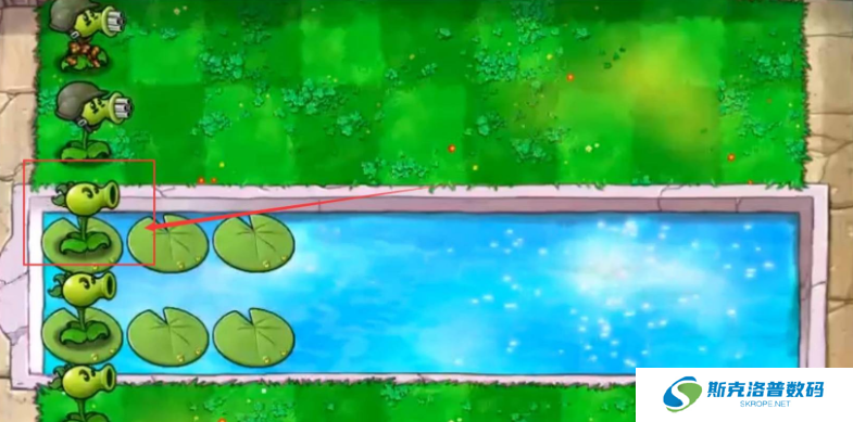 植物大战僵尸机枪豌豆射手怎么种植?植物大战僵尸机枪豌豆射手种植攻略