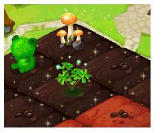 QQ农场如何升级土地?QQ农场升级土地的方法