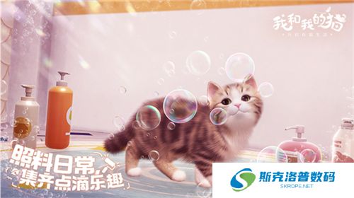 我和我的猫