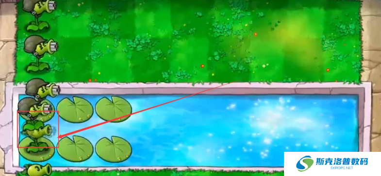 植物大战僵尸机枪豌豆射手怎么种植?植物大战僵尸机枪豌豆射手种植攻略