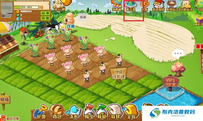 QQ农场天命果实怎么用?QQ农场天命果实使用攻略