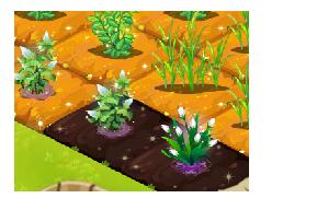 QQ农场如何升级土地?QQ农场升级土地的方法