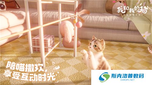 我和我的猫