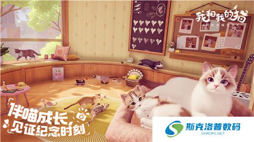 我和我的猫