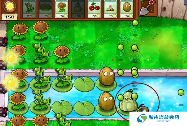 植物大战僵尸潜水僵尸怎么打?植物大战僵尸潜水僵尸打法攻略