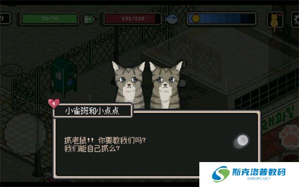 流浪猫的故事