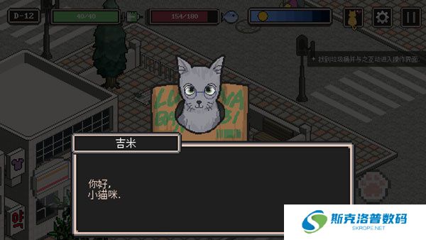 流浪猫的故事