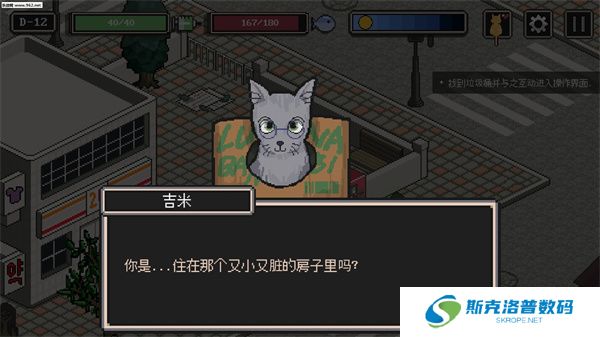 流浪猫的故事