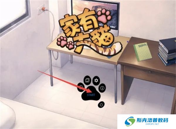 家有大猫