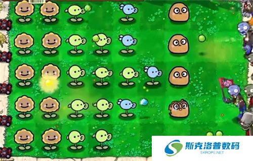 植物大战僵尸宝宝版