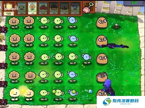 植物大战僵尸宝宝版