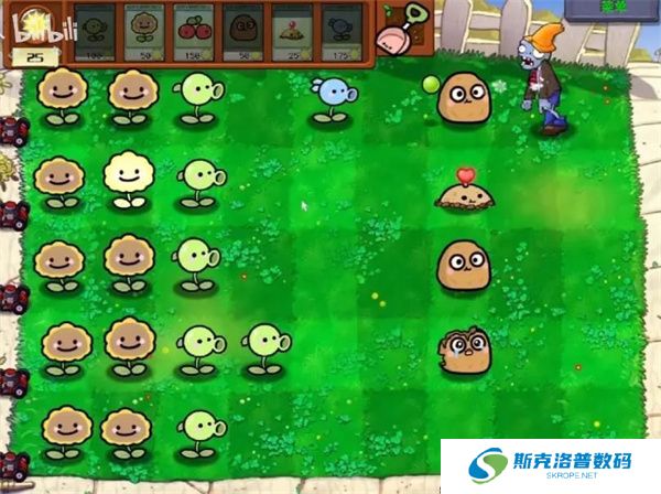 植物大战僵尸宝宝版