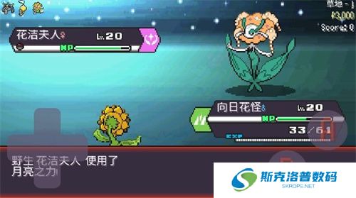 宝可梦肉鸽妖梦