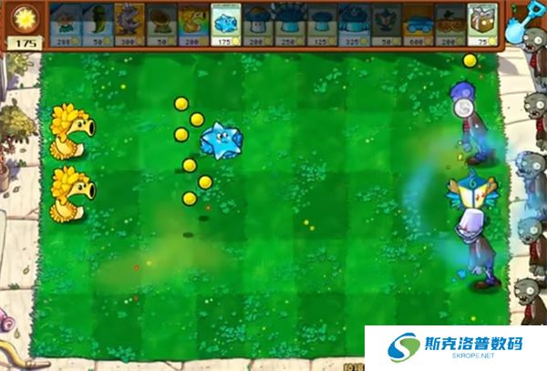 植物大战僵尸杂交下载