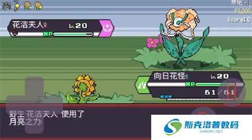 宝可梦肉鸽妖梦