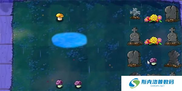 Pvz生态版三人联机