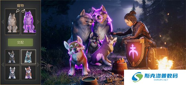 冷酷灵魂新春版