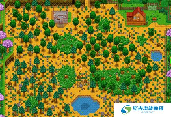 Stardew valley游戏