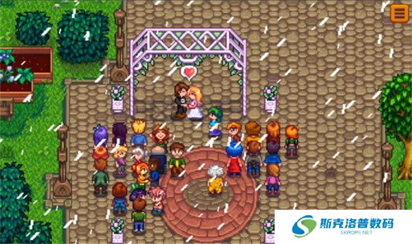 Stardew valley游戏