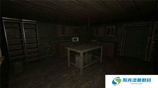 恐怖奶奶重制版