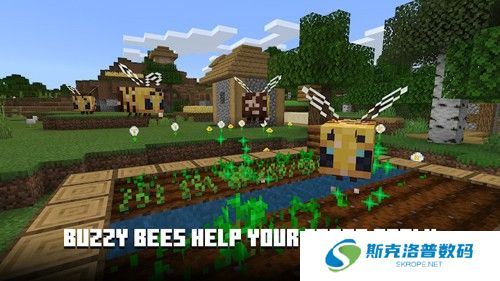 我的世界国际版