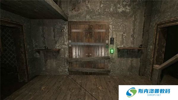 恐怖奶奶重制版