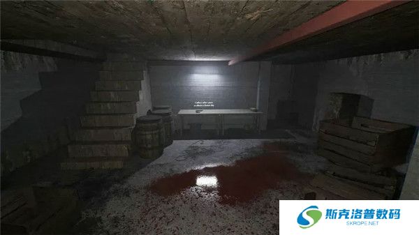 恐怖奶奶重制版