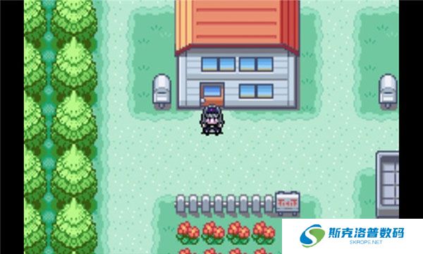 精灵宝可梦火红手游