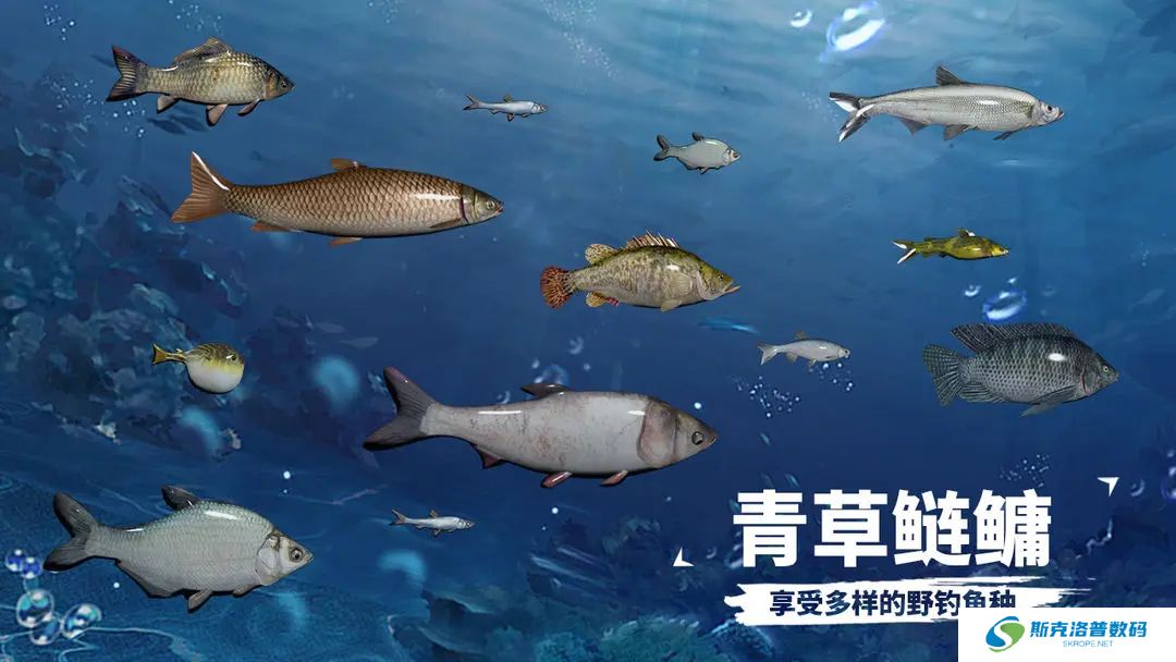 天天钓鱼手机版