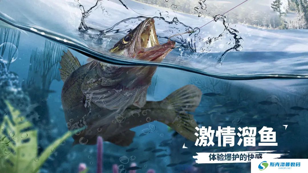 天天钓鱼手机版