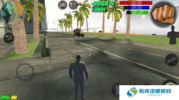 疯狂的迈阿密游戏