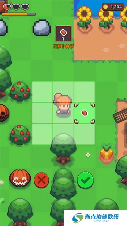 夏日时光探索小岛