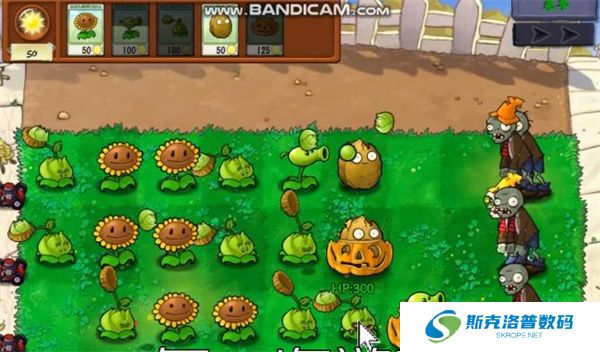 植物大战僵尸抽卡版手游