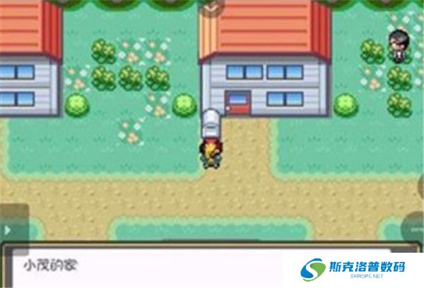 口袋妖怪燃之智安卓版截图