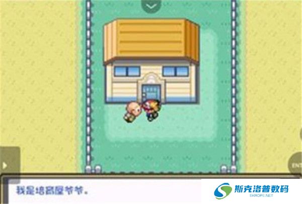 口袋妖怪燃之智安卓版截图
