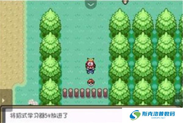 口袋妖怪燃之智安卓版截图