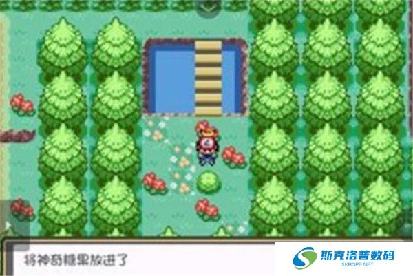 口袋妖怪燃之智安卓版截图