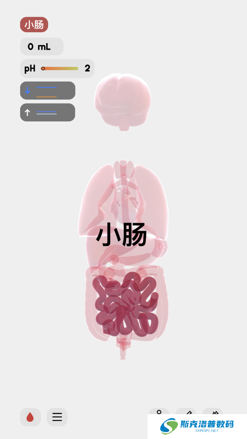 生命life