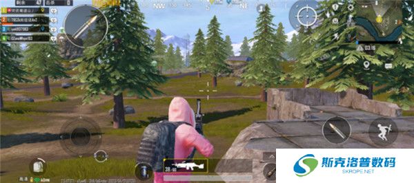 PUBG2025截图