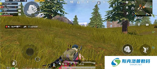 PUBG2025截图