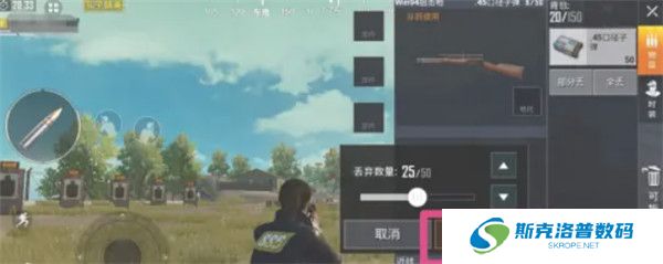 PUBG2025截图