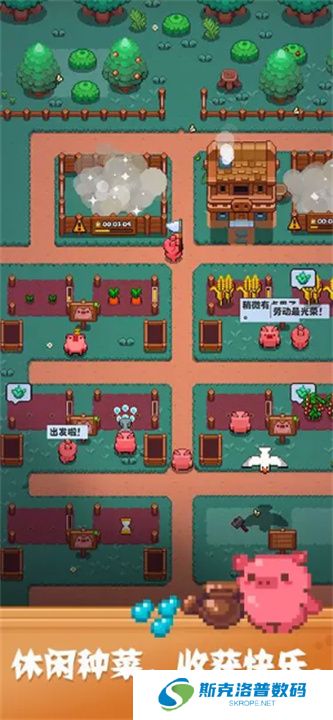 开拓猪之岛游戏