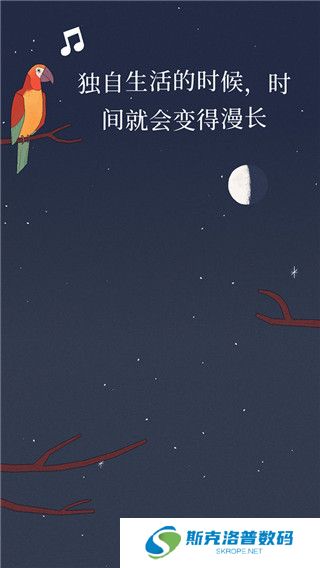 孤独的鸟儿下载