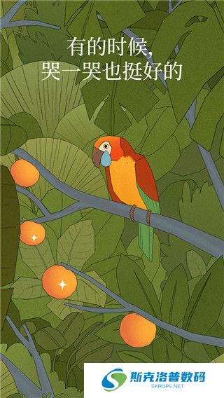 孤独的鸟儿下载