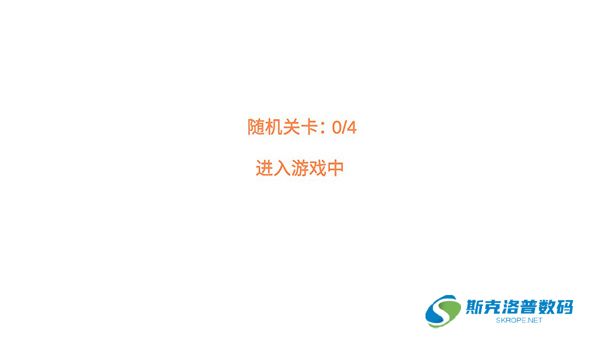 萌猫乐园