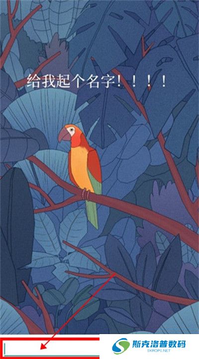 孤独的鸟儿下载截图