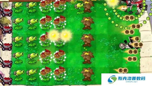 植物大战僵尸启命版2025